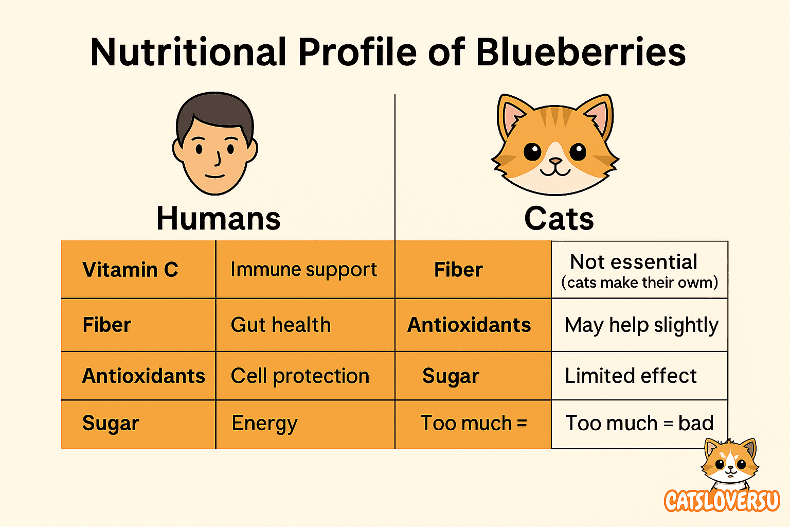 Are blueberries safe for cats to eat – comparison chart