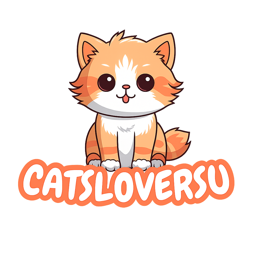 cat care tips